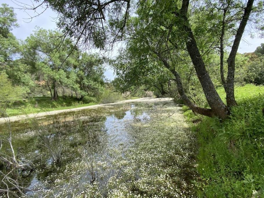 סנטה אלנה Finca La Alcolehuela En Parque Natural De Despenaperros מראה חיצוני תמונה