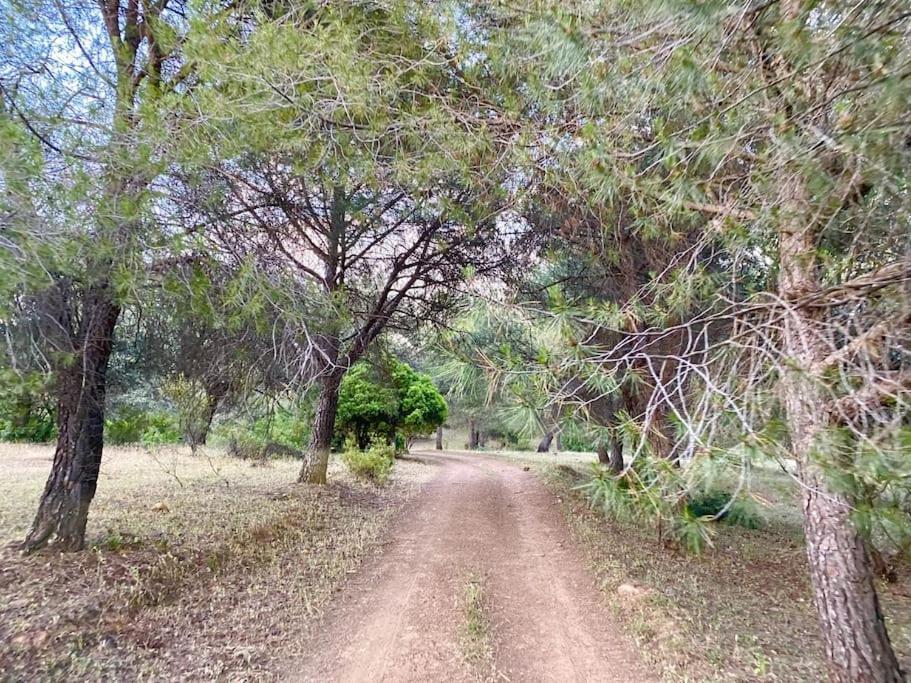 סנטה אלנה Finca La Alcolehuela En Parque Natural De Despenaperros מראה חיצוני תמונה