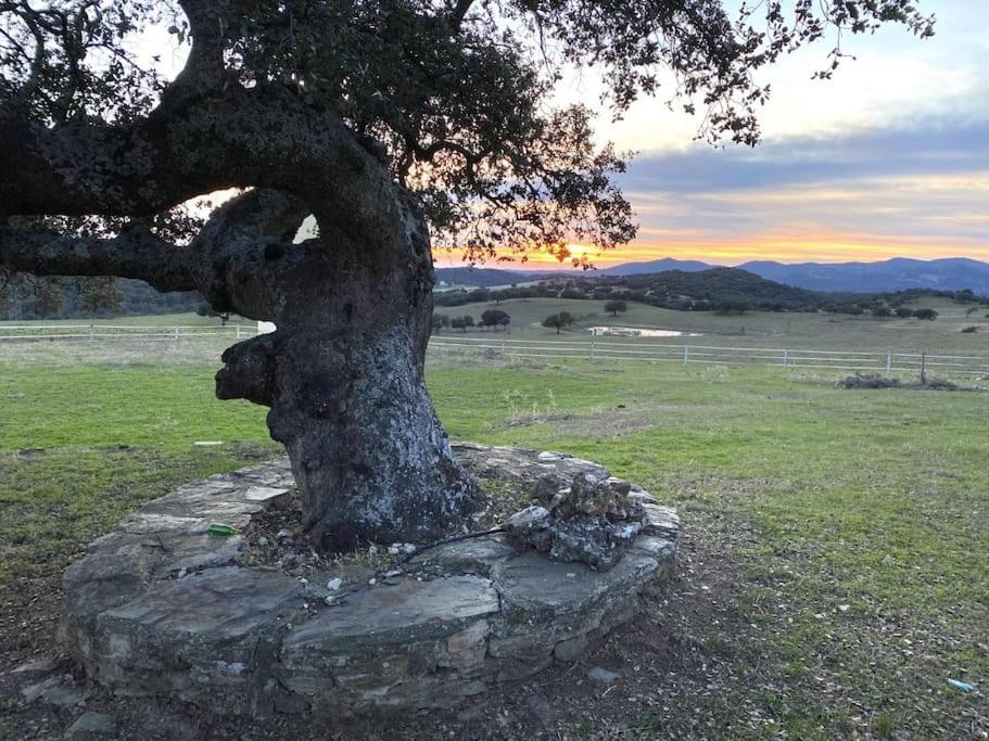 סנטה אלנה Finca La Alcolehuela En Parque Natural De Despenaperros מראה חיצוני תמונה