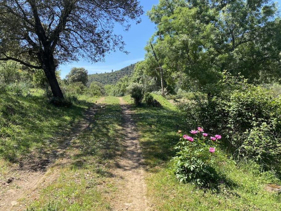 סנטה אלנה Finca La Alcolehuela En Parque Natural De Despenaperros מראה חיצוני תמונה