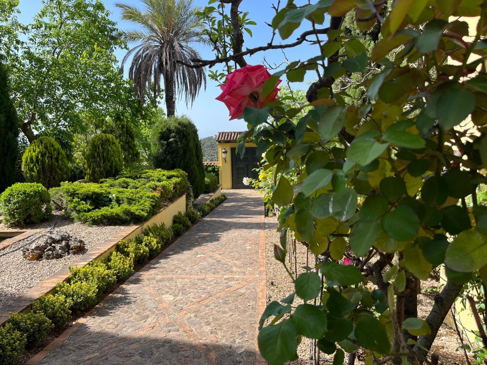 סנטה אלנה Finca La Alcolehuela En Parque Natural De Despenaperros מראה חיצוני תמונה